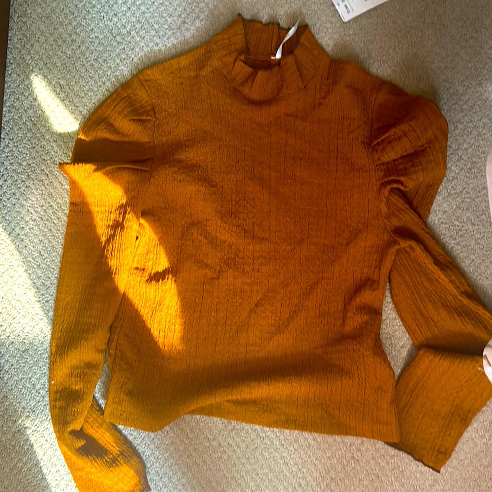 Free people brown l/s turtleneck sz s nwt